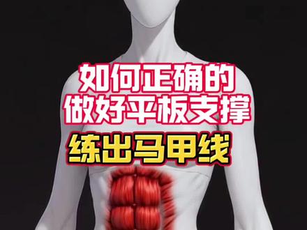 平板支撑3D动画教学#生活服务热点中心 #腹肌马甲线 #减脂#平板支撑#请继续不完美的人生