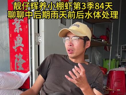 靓仔辉养小棚虾第三赛季第84天,聊聊中后期雨天前后水体处理 #小棚虾 #南美白对虾养殖 #养虾人 #水产养殖 #三农