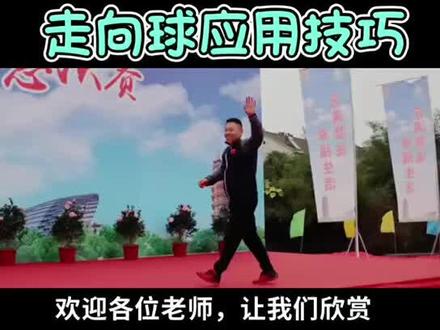 门球运动 走向球应用技术