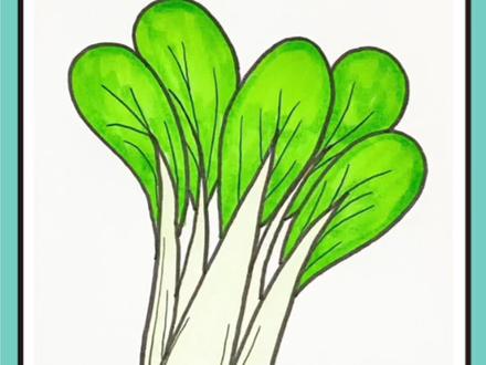 小油菜简笔画教程来咯,字母V就可以画青菜,赶快来试试吧#简笔画 #画画 #儿童简笔画 #亲子 #创作灵感