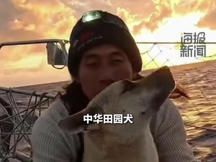 “一人一狗”环球航行3年半③ “自己出海唯一的伙伴是一条中华田园犬,每到一个海岛都会带它到岛上撒欢”#热点新闻事件 #热点追踪 #环球航行 #航海 #冒险
