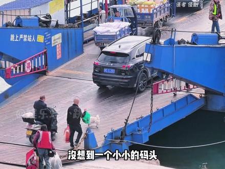 小小的渡口就是一个缩小版的人间 #渡口 #码头 #人间百态 #态度 #社会