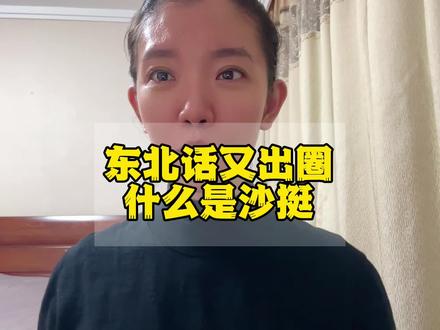 东北话又出圈,什么是沙挺#日常唠嗑 #vlog日常 #短视频创业 #东北话 #内容过于真实