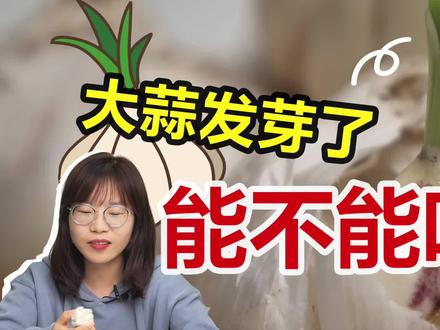发芽的大蒜,到底能不能吃?#涨知识 #大蒜 #科普 #农药 #大蒜发芽