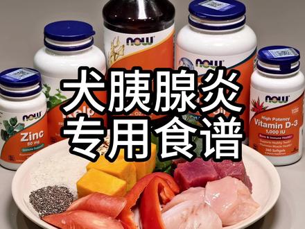 希望所有小家伙们都远离胰腺炎! #犬胰腺炎 #自制狗饭