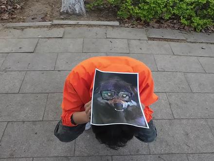 我只看到一个悲伤的狼王 #狼 #蒲松龄 #顺拐狼