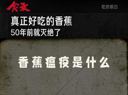 香蕉瘟疫是什么?为什么香蕉口味的饮料或零食比香蕉本身香很多?最好吃的香蕉「大麦克」是怎么出现的,为什么我们没有机会吃到它?真正好吃的香蕉,50年前就灭绝了。#科普 #美食 #香蕉