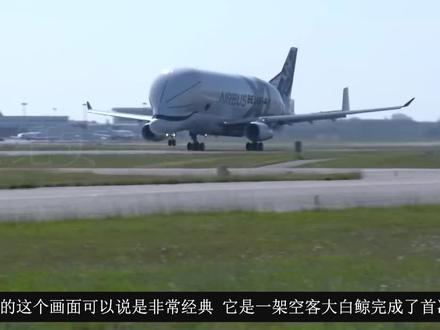 空客大白鲸完美起飞:飞机很萌颜值高,试飞员水平了得! #飞机 #起飞🛫#大白鲸运输机 #试飞员 #运输机
