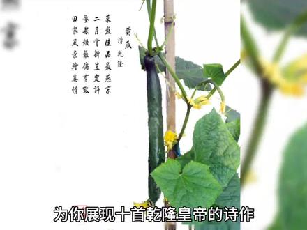 你见过清朝皇帝乾隆的诗吗?今天让你开眼界!#趣味历史 #诗词 #人文