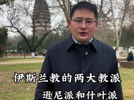 伊斯兰教的两大教派#伊朗 #伊朗vs美国 #中东