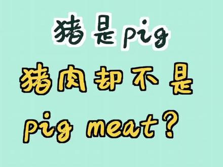 为什么猪是pig,猪肉却不是pig meat? #英语 #学习打卡 #扇贝单词