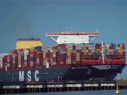 中方终于动手,大批货轮空集装箱离开,巴媒:中资撤离或重创经济