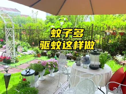 一楼蚊子没有想象中那么多,盘点一下我家的驱蚊方法#驱蚊#蚊子#夏天#院子