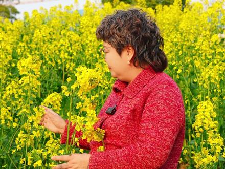 学会这个方法,油菜花瞬间400字 #小学作文 #写植物 #作文技巧 #家长必看