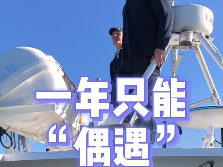 澳洲买买君 d2d61807c78b88eda785b1addb770755~tplv-dy-resize-origshort-autoq-75:330.jpeg?x-expires=1989972000&x-signature=x%2Fi4t4urbbPOXTO0%2BO%2BcTMBgrHY%3D&from=3213915784&s=PackSourceEnum_AWEME_DETAIL&se=false&sc=cover&biz_tag=pcweb_cover&l=2023012510595953C3B6A54DFAB6DE2115