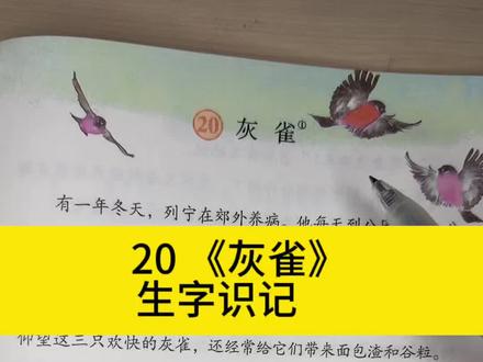 三下《灰雀》生字总记不住?3分钟带你扫清所有易错考点!“脯”(胸脯pú / 果脯fǔ)#三年级语文 #灰雀 #生字教学 #小学语文 #抖音教育