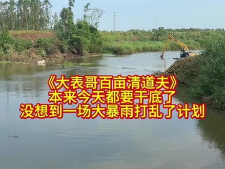 “大表哥百亩清道夫”最新进展,本来计划今天能干底的,没想到呀…#户外#三农