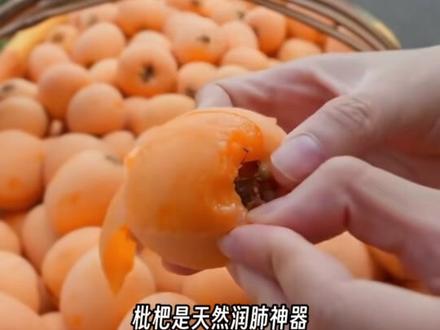 别再靠吃枇杷止咳了!真正入药止咳的是枇杷叶而非果肉,生吃枇杷反而易生痰加重咳嗽。枇杷果核含剧毒氰苷,咬碎易中毒,尤其家里有小孩一定要当心!#枇杷 #止咳 #健康 #科普 #司马华鹏