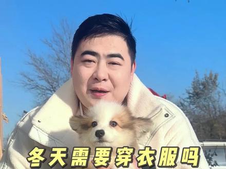 柯基到底怕不怕冷?#小柯基 #柯基 #短腿柯基 #小短腿 #新手养宠