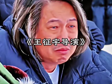 王征宇导演你在观众心中真的很厉害#王征宇 #陈泽 #ok了老铁