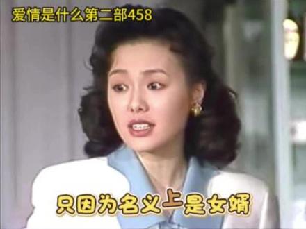 爱情是什么第二部458 只因为名义上是女婿
