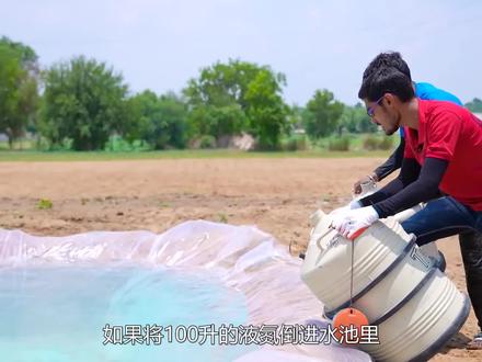把100升的液氮倒在水池里,能让水面结冰吗?最后大开眼界 #趣味实验 #涨知识
