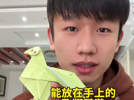 能放在手上的飞翔鹦鹉超详细折纸教程 #亲子手工