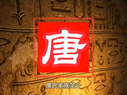 唐氏家族简介#三字经 #百家姓 #传统文化 @DOU+小助手 @梦回千年丶
