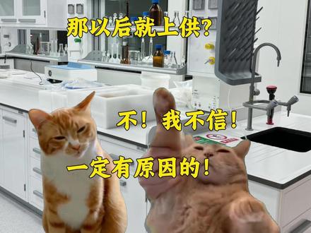 这次的更离谱了... #青年创作者成长计划 #研究生#实验室日常#猫meme#研究生日常
