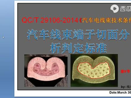 端子剖面分析判定标准