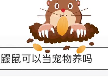 错把鼹鼠当宠物养是什么体验?#搞笑 #大学 #大学宿舍