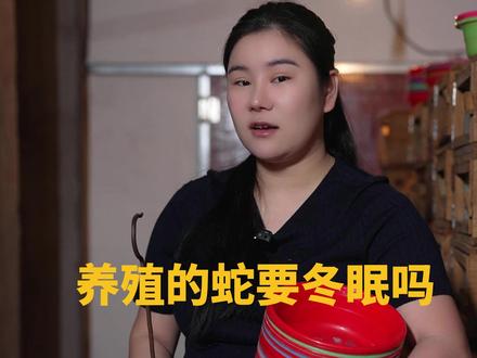 那么问题来了,为什么公蛇不冬眠? #五步蛇 #蛇 #毒蛇 #新农人计划 #五步小娘子