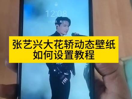 张艺兴的大花轿 #张艺兴 #张艺兴演唱会 #张艺兴跨年舞台 #动态壁纸