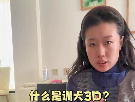 训犬不是加难度,而是加维度|3D训练你做对了吗?#moji训练法 #训犬 #科学养狗