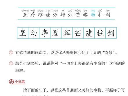 《我们奇妙的世界》课后小练笔,三个绝招让孩子仿写不落俗套。 比喻巧、加动作、写感受,普通事物也能写出新鲜感。
#三年级语文 #我们奇妙的世界 #小练笔 #句子仿写