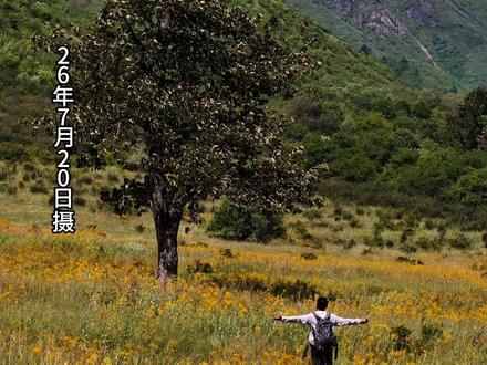 成都夏天周末避暑、溜娃的宝藏地,孟获城、冶勒湖2日游攻略。 这里的高山花海已进入盛花期,成都自驾仅需3小时,周末轻松打来回,放心冲。#成都周边一日游 #成都周边避暑 #成都周末去哪儿 #在孟获城过18度的无蚊夏天