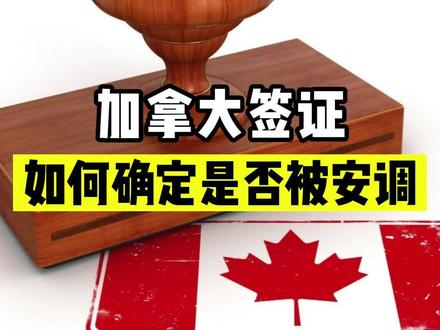加拿大签证如何确定是否被安调?有这两种方法!#加拿大 #加拿大移民 #加拿大生活 #加拿大签证