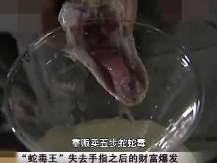靠蛇发大财养五步蛇一年赚几千万