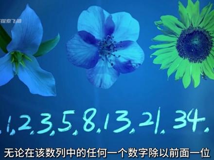 宇宙中三组神奇的数字,其中可能有打开宇宙奥秘的钥匙! #科普 #涨知识 #数学 #探索宇宙 #脑洞大开
