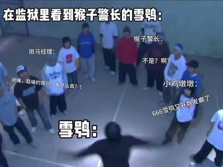 发疯的雪鸮…#猴探 又双叒叕发疯的鸮爷