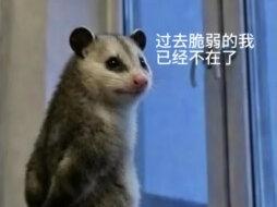 不推荐任何人复读,想要复读的同学要谨慎考虑! #高考 #高考成绩 #志愿填报 #复读