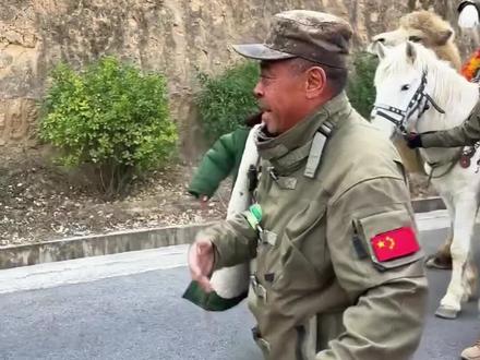 东天山骆驼队快进入洛阳了,你们准备好欢迎了吗!#东天山骆驼队 #丝绸之路 #洛阳 #旅游推荐官 #拍摄现场