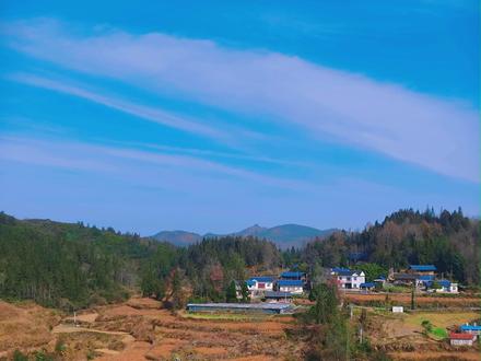 三农农村生活有多丰富!遍地都是野味! 湘西清明粑是湘西土家族、苗族在清明时节必做的传统特色美食,以山野青蒿与糯米制成,外皮翠绿、清香软糯,是春天与乡愁的味道。#三农农村生活 #流量扶持计划 #三农美食 #野菜 #春日美食大赏