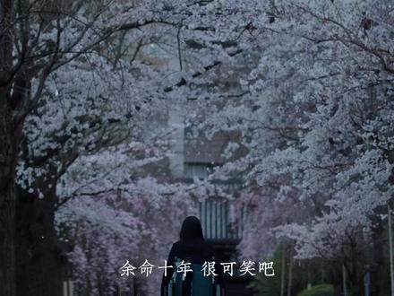 看完虐了好久,丧了好几天#余命十年 #电影 #混剪 #情绪 #樱花 #be