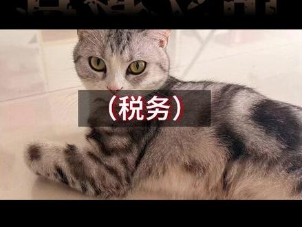 受控外国企业,查处进行时