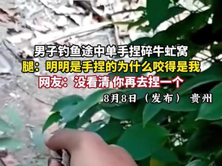 男子钓鱼途中单手捏碎牛虻窝,腿:明明是手捏的为什么咬得是我,网友:没看清 你再去捏一个(来源:@云雾水族· Streams in nat )