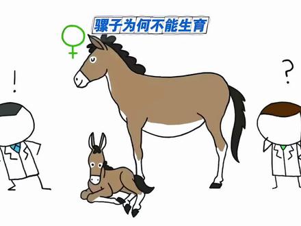 骡子为何不能生育后代? #科普一下 #涨知识 #生殖隔离 #骡子