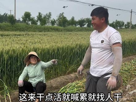 小松种的大蒜大丰收,看着满地的收获,瞧把小松高兴的,还要请粉丝都来吃大蒜#我的乡村生活