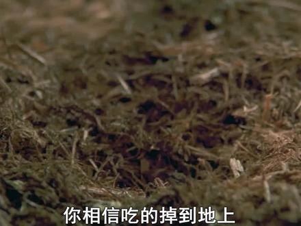 东西掉在地上3秒钟内,捡起来还能吃?#电影解说