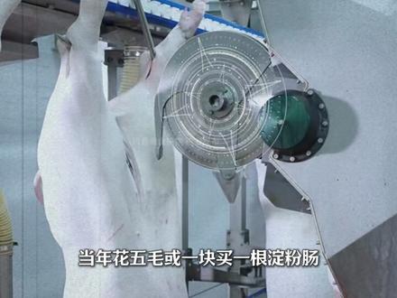 淀粉肠:有肉我不吃!打工人的白月光 #美食 #美食趣胃计划 #科普 #知识分享 #淀粉肠